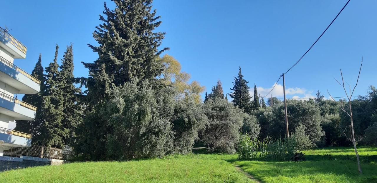 όμορφο στην πόλη Apartmán Patras
